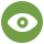Vision